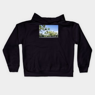 Palms in a row Kids Hoodie